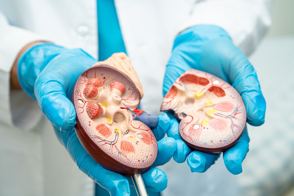 How to become a Nephrologist?